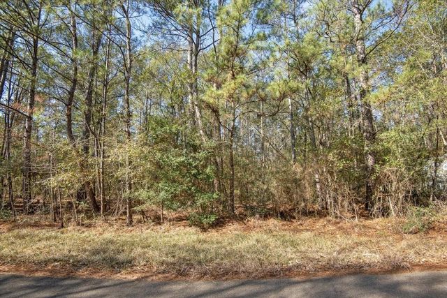 TBD Cr 201 Road, Plantersville, TX 77363