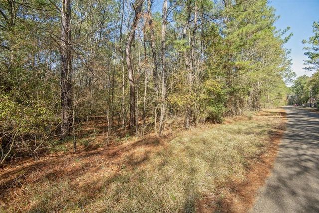 TBD Cr 201 Road, Plantersville, TX 77363