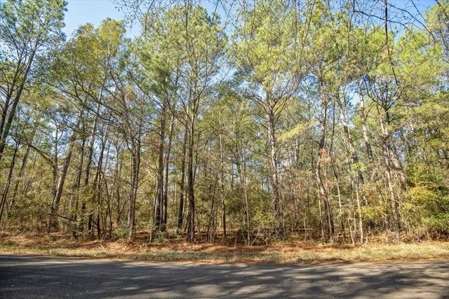 TBD Cr 201 Road, Plantersville, TX 77363