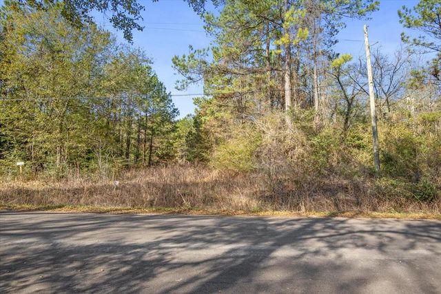 TBD Cr 201 Road, Plantersville, TX 77363