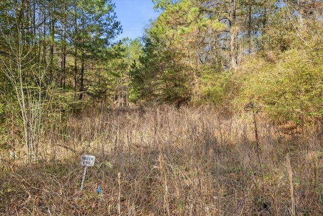 TBD Cr 201 Road, Plantersville, TX 77363