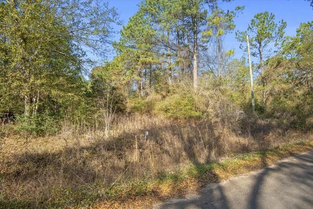 TBD Cr 201 Road, Plantersville, TX 77363