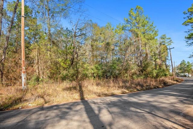 TBD Cr 201 Road, Plantersville, TX 77363