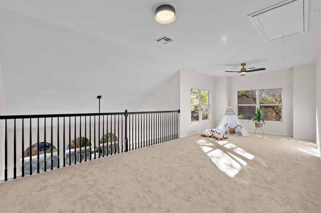 2519 Terlingua DR, Cedar Park, TX 78613