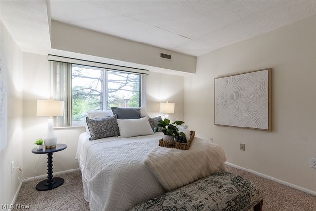 935 Canyon View Road 202, Sagamore Hills, OH 44067