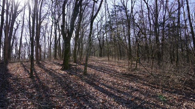 0 Hickory Ridge Trl, Columbia, TN 38401