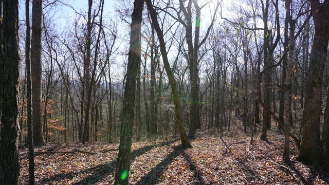 0 Hickory Ridge Trl, Columbia, TN 38401