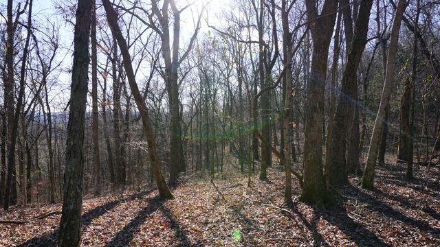 0 Hickory Ridge Trl, Columbia, TN 38401