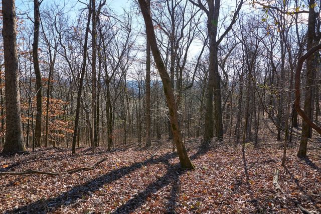 0 Hickory Ridge Trl, Columbia, TN 38401