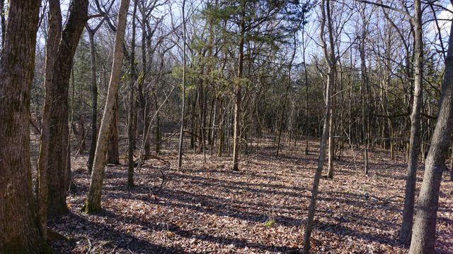 0 Hickory Ridge Trl, Columbia, TN 38401