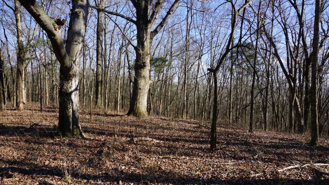 0 Hickory Ridge Trl, Columbia, TN 38401