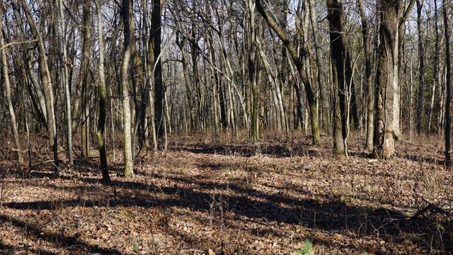 0 Hickory Ridge Trl, Columbia, TN 38401
