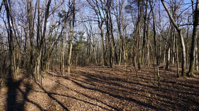 0 Hickory Ridge Trl, Columbia, TN 38401