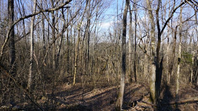 0 Hickory Ridge Trl, Columbia, TN 38401