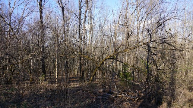 0 Hickory Ridge Trl, Columbia, TN 38401