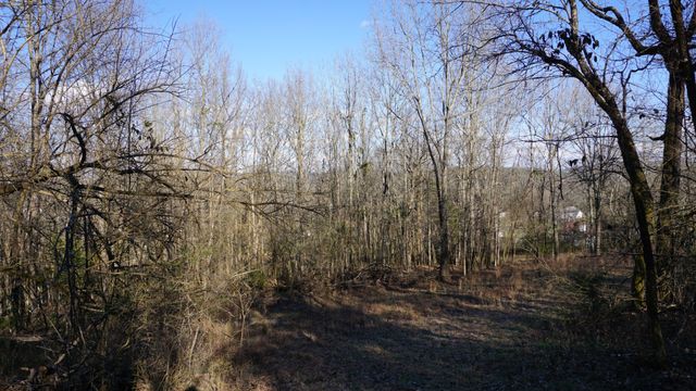 0 Hickory Ridge Trl, Columbia, TN 38401