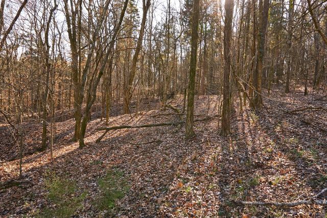 0 Hickory Ridge Trl, Columbia, TN 38401