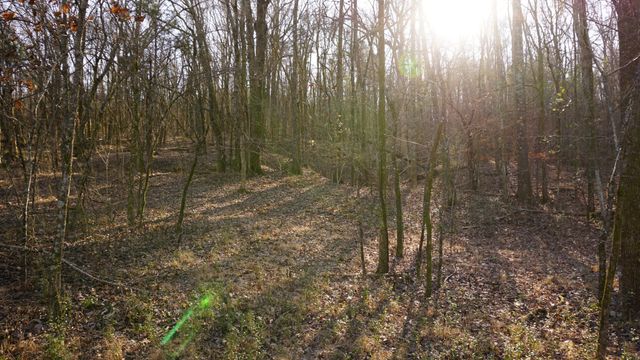 0 Hickory Ridge Trl, Columbia, TN 38401