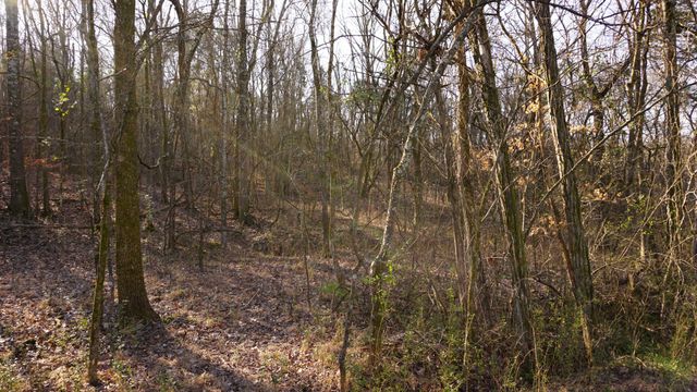 0 Hickory Ridge Trl, Columbia, TN 38401