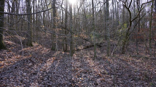 0 Hickory Ridge Trl, Columbia, TN 38401