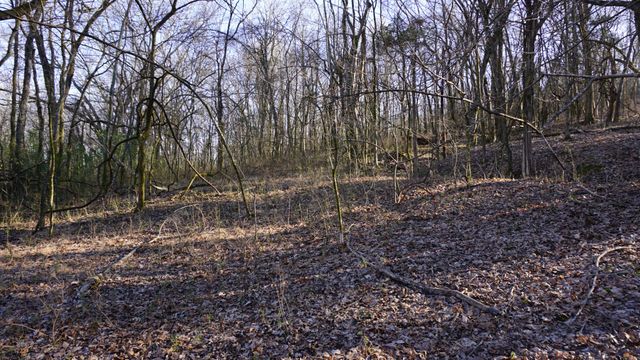 0 Hickory Ridge Trl, Columbia, TN 38401
