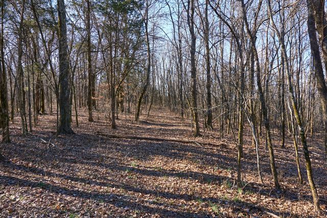 0 Hickory Ridge Trl, Columbia, TN 38401