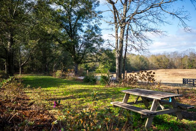 2300 Salley Road, Salley, SC 29137