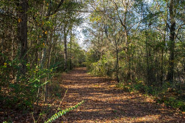2300 Salley Road, Salley, SC 29137
