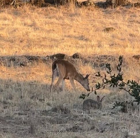 4808 Foxglove Ct, Santa Rosa, CA 95405