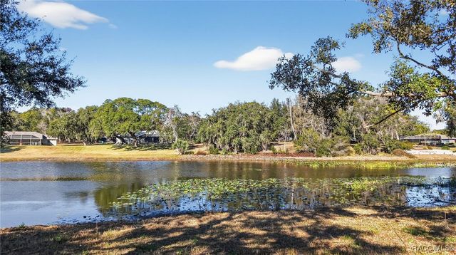 9913 E Saint Regis Court, Inverness, FL 34450