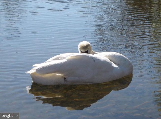 106 CHESTERFIELD CT, Locust Grove, VA 22508