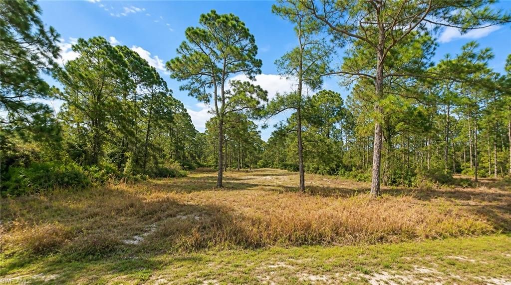 2206 Jefferson AVE, ALVA, FL 33920 — exterior