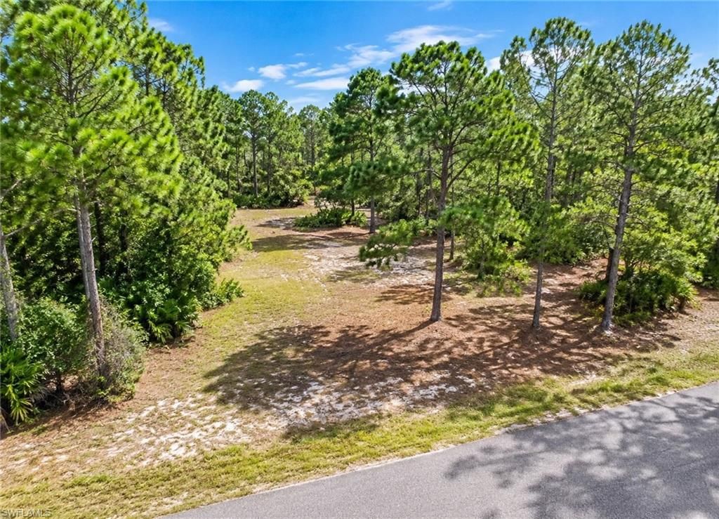 2206 Jefferson AVE, ALVA, FL 33920 — photo 2