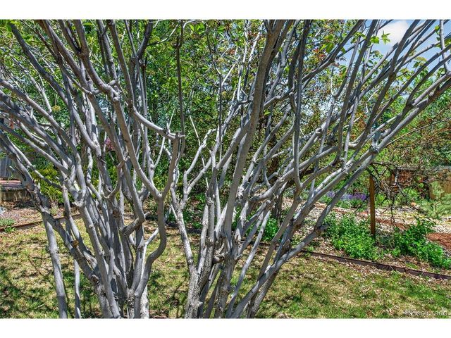 7488 S Teller St, Littleton, CO 80128