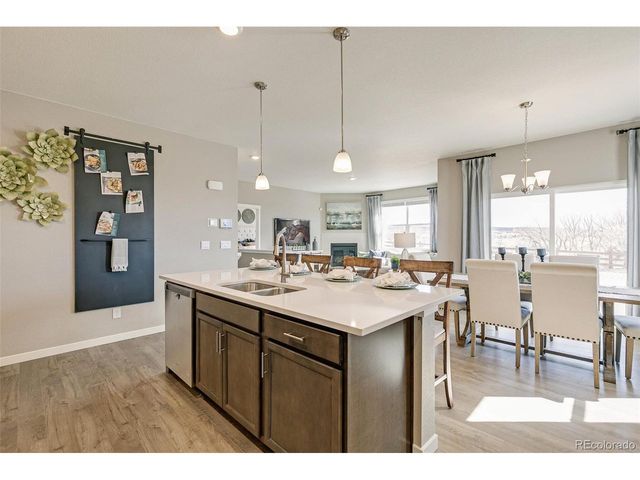 14616 Beebalm Ave, Parker, CO 80134