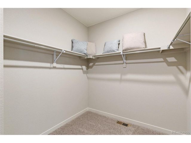 14616 Beebalm Ave, Parker, CO 80134