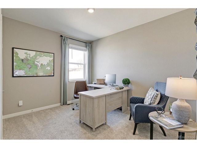 14616 Beebalm Ave, Parker, CO 80134