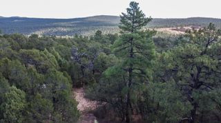 5 La Miranda, Tijeras, NM 87059
