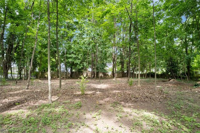 443 Merriman Road, Akron, OH 44303