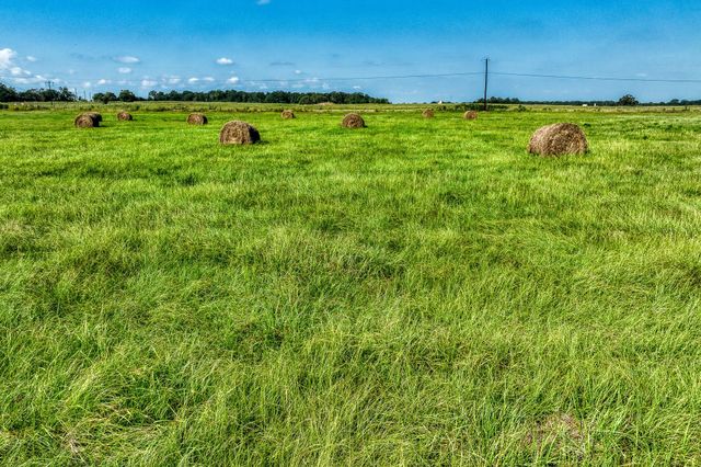 31 Pee Dee Lane Lane, Madisonville, TX 77864