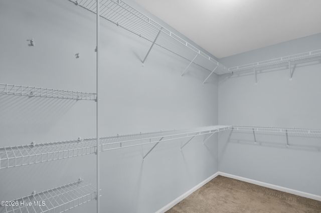 3110 Catarina Lane, New Bern, NC 28562