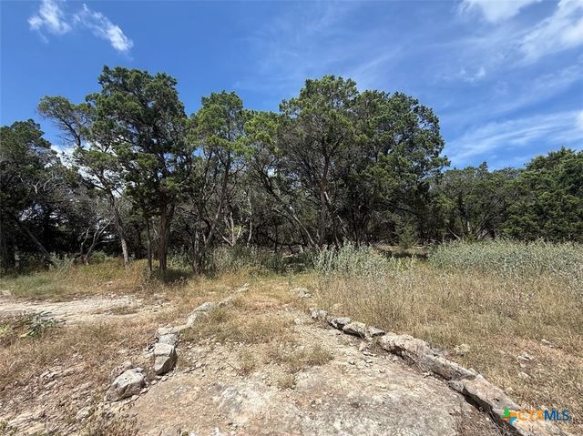 270 Delanoy Drive, Canyon Lake, TX 78133