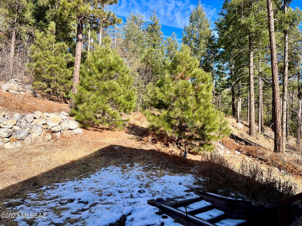 E 11155 Carter Canyon Road Mt. Lemmon Realty