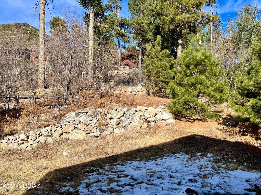 E 11155 Carter Canyon Road Mt. Lemmon Realty