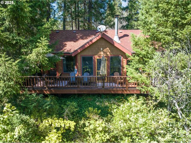 54444 MCKENZIE RIVER Dr, Blue River, OR 97413