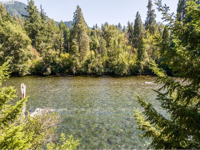 54444 MCKENZIE RIVER Dr, Blue River, OR 97413