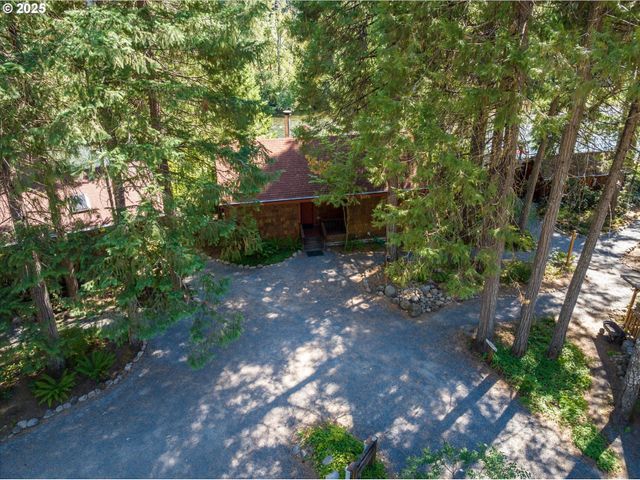 54444 MCKENZIE RIVER Dr, Blue River, OR 97413