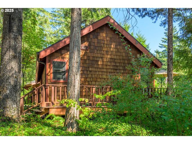 54444 MCKENZIE RIVER Dr, Blue River, OR 97413