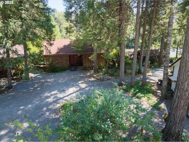 54444 MCKENZIE RIVER Dr, Blue River, OR 97413