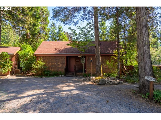 54444 MCKENZIE RIVER Dr, Blue River, OR 97413